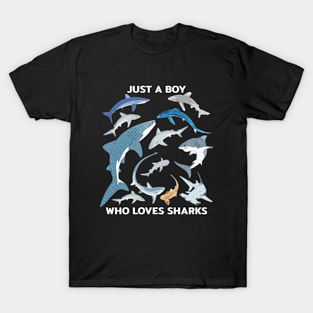 Just a boy who loves sharks T-Shirt by NicGrayTees